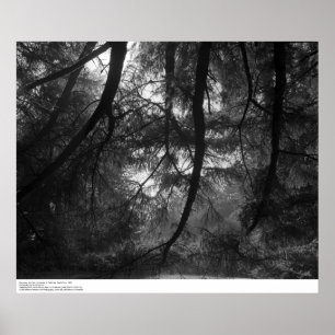 Grenar, in i sol, UC Santa Cruz, 1963 Poster