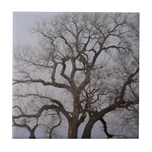 grenar kakelplatta (Framsidan)