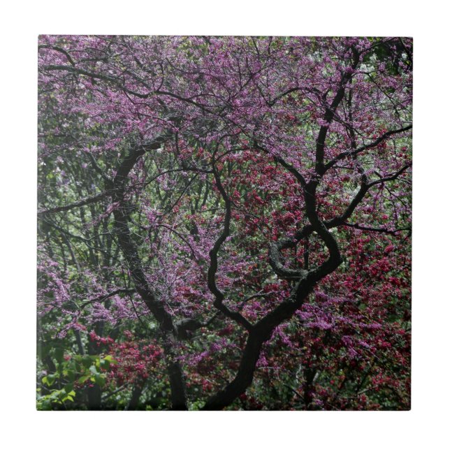Grenar och Blommar Kakelplatta (Framsidan)