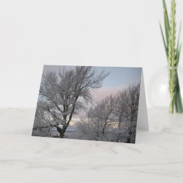 Grenar täckt av snö kort