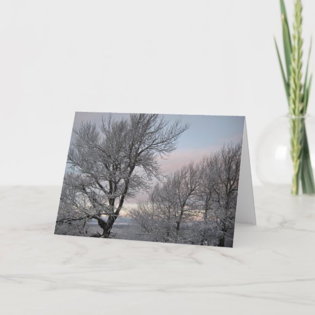 Grenar täckt av snö kort (Framsida)