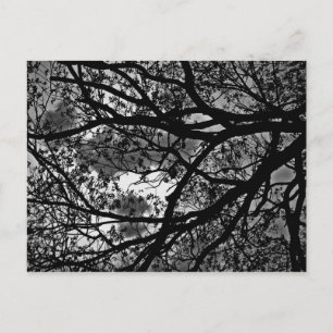 Grenar-vykort Vykort