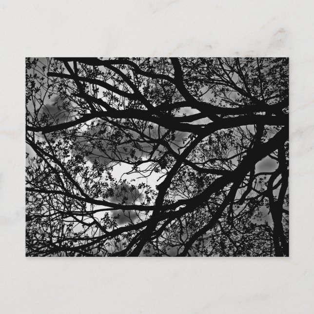 Grenar-vykort Vykort (Framsida)