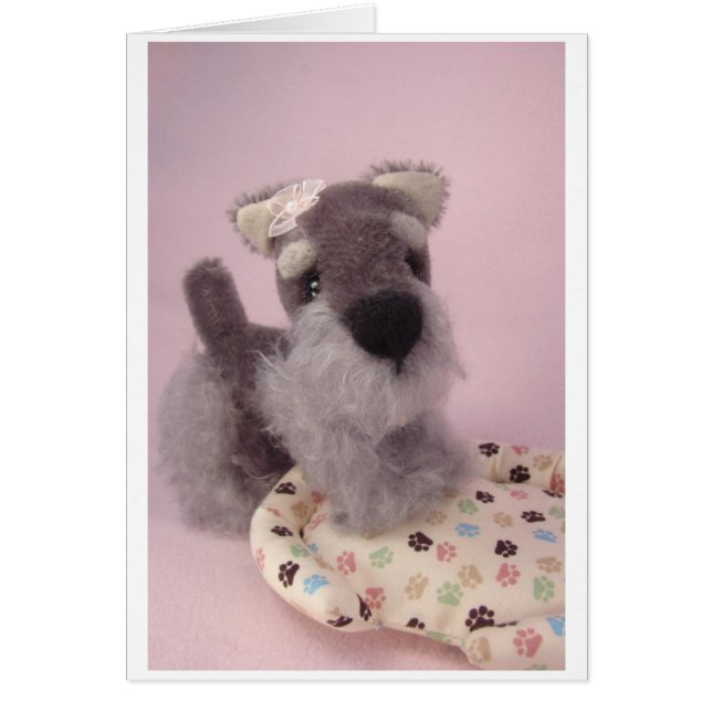 Greta schnauzeren OBS kort (Framsidan)