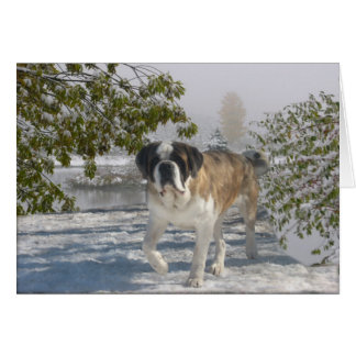 Gretting kort för tillfällen