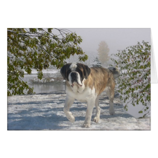 Gretting kort för tillfällen (Framsidan Horizontal)