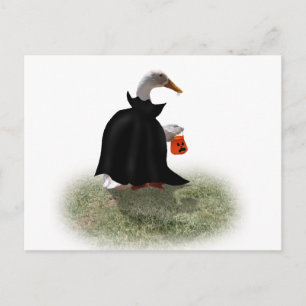 Greve Duckula är på väg! Vykort