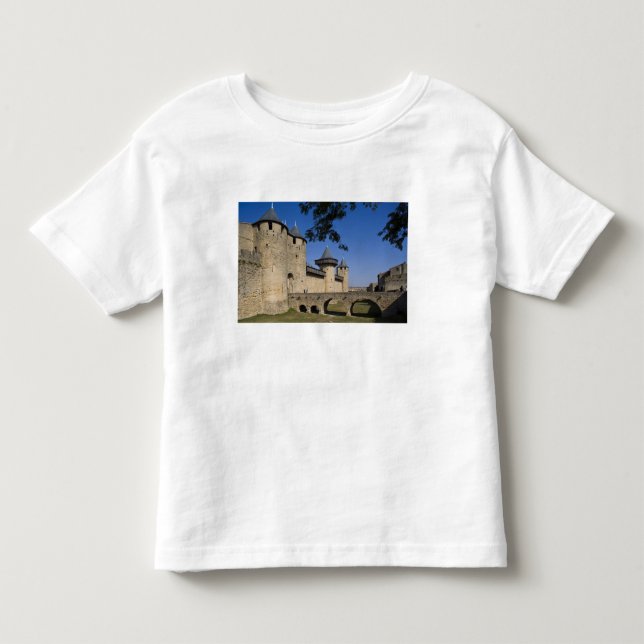 Grevens slott, Carcassonne, Aude, Languedoc, Tee (Framsida)