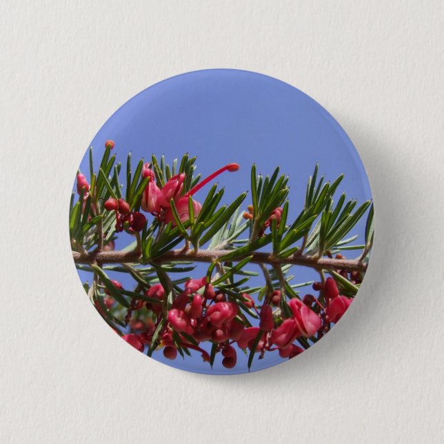 Grevillea Button Knapp (Framsida)