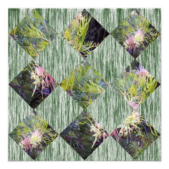 Grevillea: Embracing Nature's Diamond Mönster, Fototryck (Framsidan)