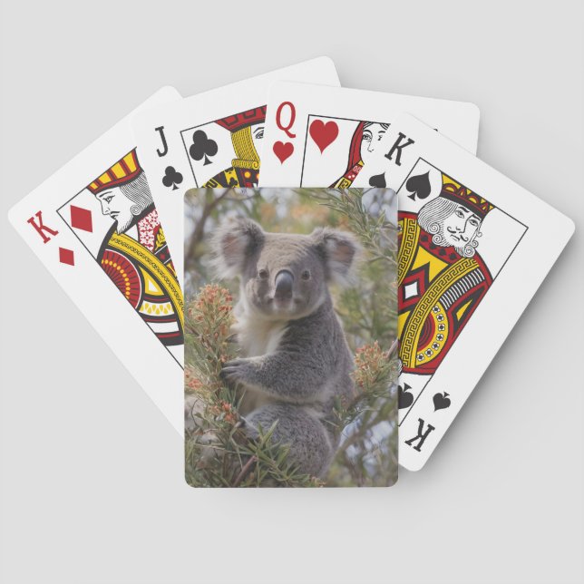 Grevillea Koala Bear Casinokort (Baksidan)