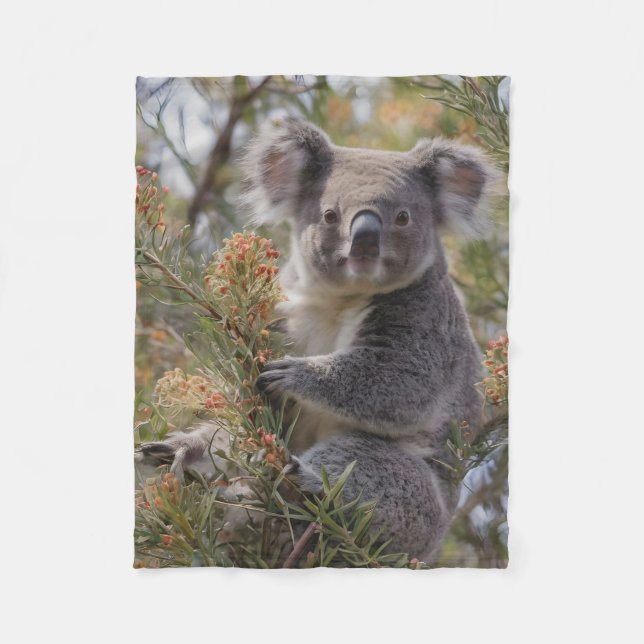 Grevillea Koala Bear Fleecefilt (Framsidan)