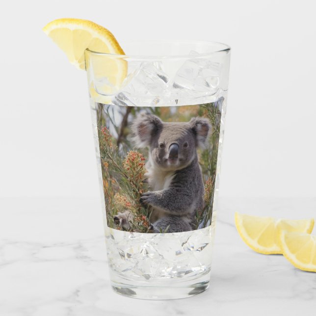Grevillea Koala Bear Glaskopp (Framsida Ice)