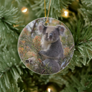 Grevillea Koala Bear Julgransprydnad Keramik