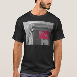 Grey & Pink view of Bode Museum & Pergamon Museum T Shirt