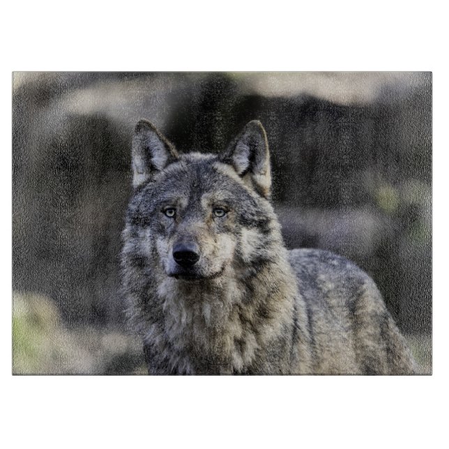 Grey Wolf (Framsidan)