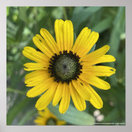 Greyforaday Gult Blommigt Skriv ut Poster