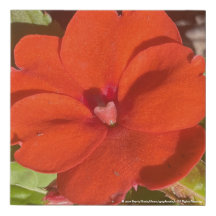 Greyforaday Orange Blommigt Skriv ut