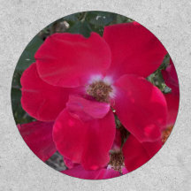 Greyforaday Red Blommigt Patch