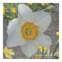 Greyforaday White Blommigt Skriv ut