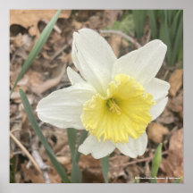 Greyforaday White Blommigt Skriv ut