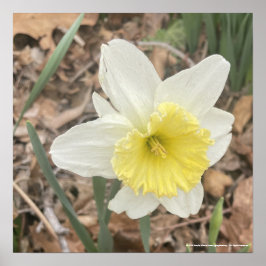 Greyforaday White Blommigt Skriv ut Poster