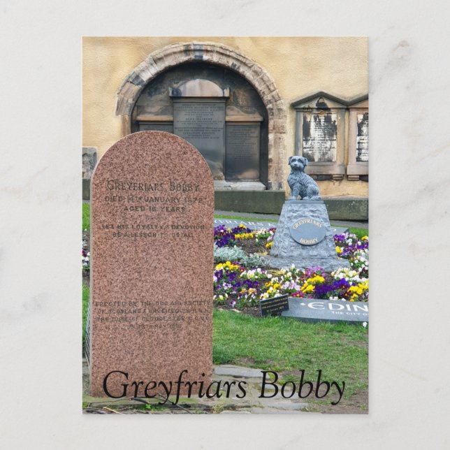 Greyfriars Bobby, Edinburgh Vykort (Framsida)