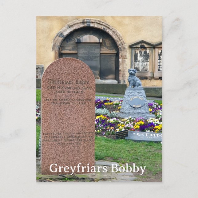 Greyfriars Bobby, Edinburgh Vykort (Framsida)