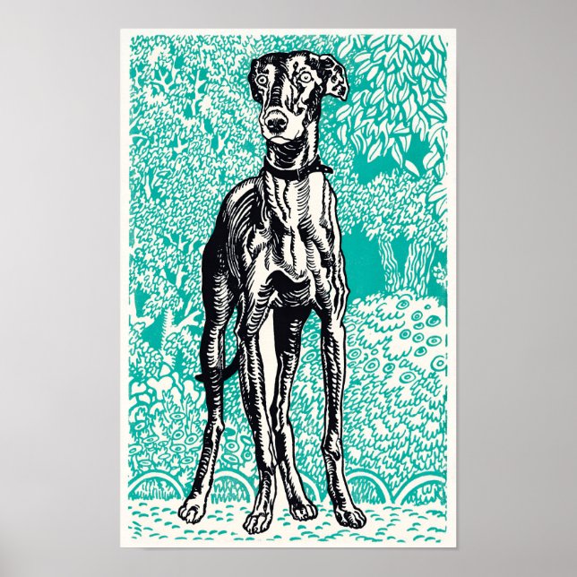 Greyhound (1912)  poster (Framsidan)