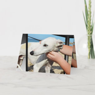 Greyhound 3D-effektkort för födelsedagshälsning Kort
