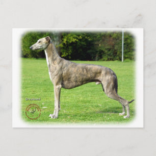 Greyhound 9J007D-14 Vykort