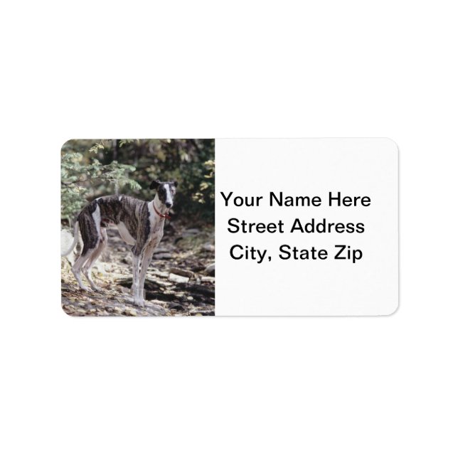 Greyhound Adressetikett (Framsidan)