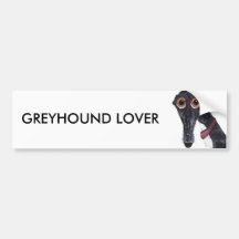 GREYHOUND ÄLSKARE