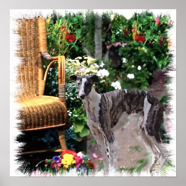 Greyhound Art-utskrift Poster (Framsidan)