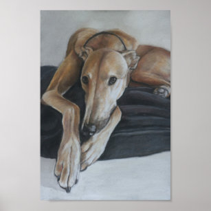 Greyhound Art-utskrift Poster