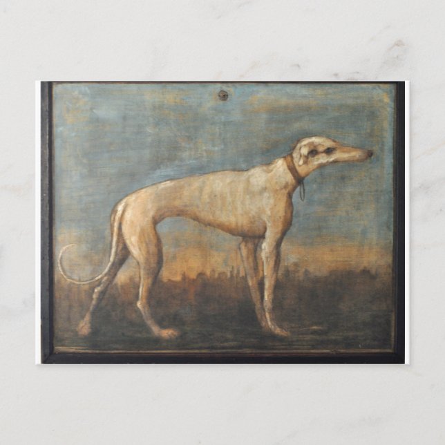 Greyhound av Giovanni Domenico Tiepolo Vykort (Framsida)
