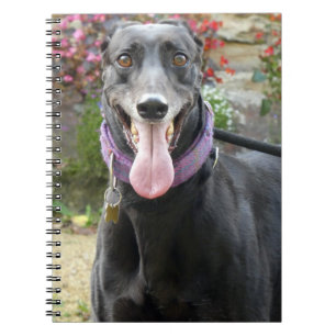 Greyhound bärbar dator anteckningsbok