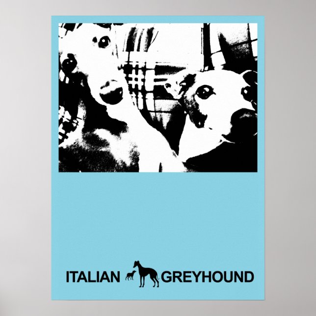 Greyhound Blue Poster (Framsidan)