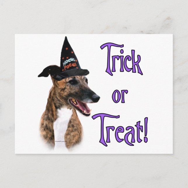Greyhound (brindle) Trick Vykort (Framsida)