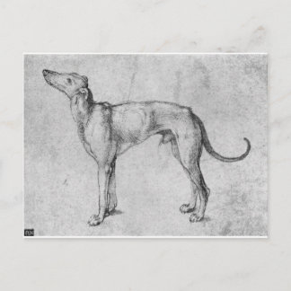 Greyhound by Albrecht Durer Vykort