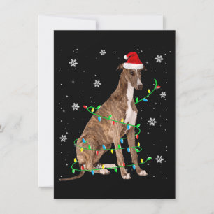 greyhound christmas light, gullig, Santa Greyhound Inbjudningar