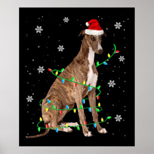 greyhound christmas light, gullig, Santa Greyhound Poster