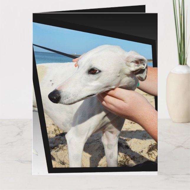 Greyhound Dimensions Big Greeting Card Kort (Framsida)