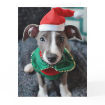 Greyhound Elf Puppy-julkort