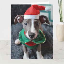 Greyhound Elf Puppy-julkort Kort