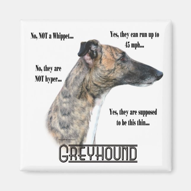 Greyhound FAQ Magnet (Framsidan)