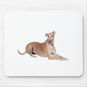 Greyhound (fawn, ljugande ned) musmatta