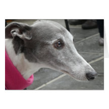 Greyhound-fotokort