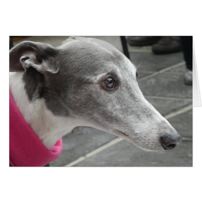 Greyhound-fotokort OBS Kort (Framsidan Horizontal)