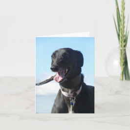 Greyhound-fotokort (p11) kort
